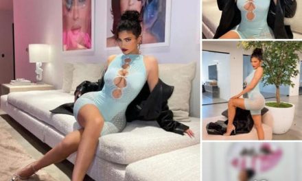 KYLIE Jenner looked stunning posing in a sexy see-through, cut-out catsuit as she called herself “the main character.”
