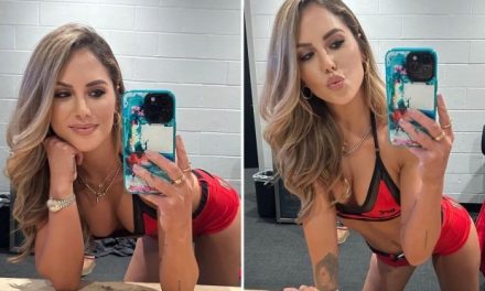 Brittney Palmer’s Revealing UFC Outfit Ignites Fans’ Excitement with Playful Caption